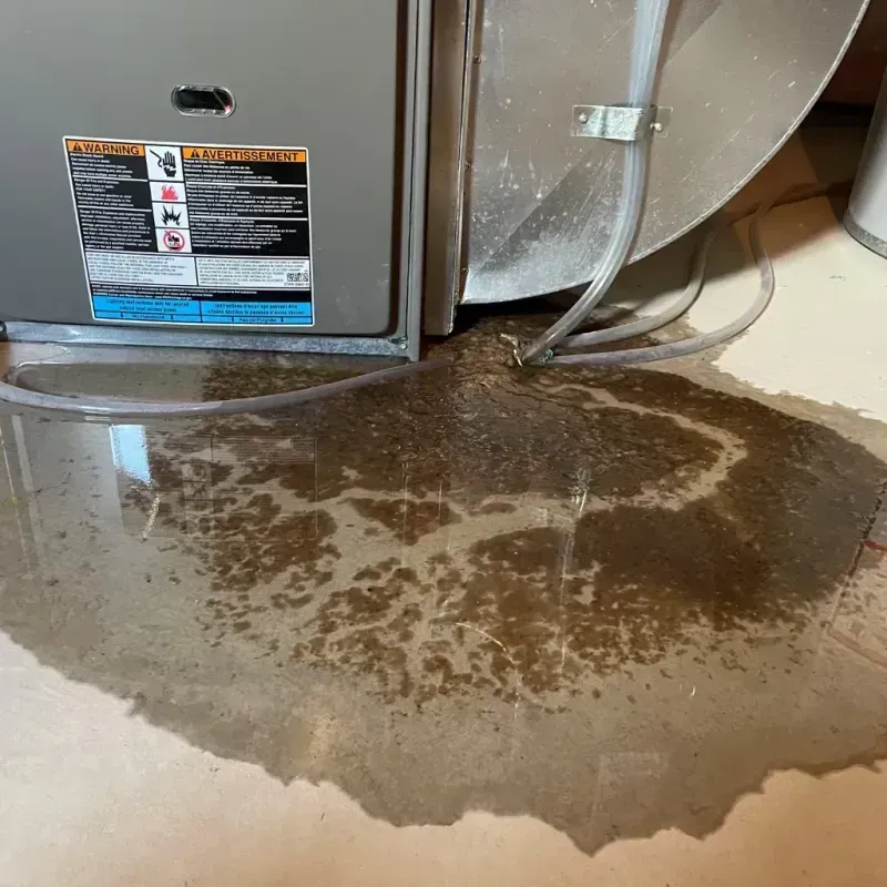 Appliance Leak Cleanup in Massapequa, NY